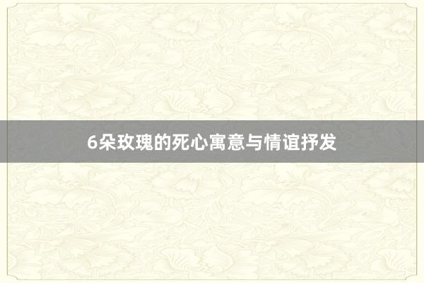 6朵玫瑰的死心寓意与情谊抒发